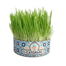 cat grass un dos treats