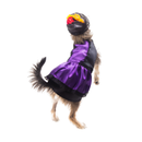 Pet Pals Disfraz de Catrina - Accesorios