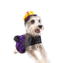 Pet Pals Disfraz de Catrina - Accesorios