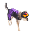 Pet Pals Disfraz de Catrina - Accesorios