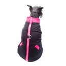 Chaleco Dog Sport - Accesorios