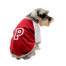 Chamarra Universitaria para perro - Accesorios