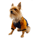 Chamarra Universitaria para perro - Accesorios