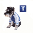 Chamarra Universitaria para perro - Accesorios