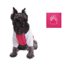 Chamarra Universitaria para perro - Accesorios