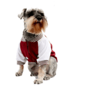 Chamarra Universitaria para perro - Accesorios