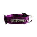 Tolome Collar Nylon Chiara para Perro - Accesorios