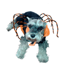 Disfraz de Araña - Accesorios