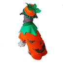 Disfraz de Calabaza - Accesorios