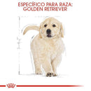 Royal Canin Golden Retriever Puppy 13.63 kg - Alimento Seco Golden Cachorro
