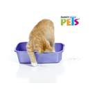 Fancy Pets Arena para Arenero 10 kg - Accesorios