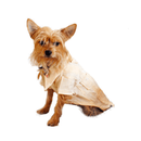 Guayabera Para Perro - Accesorios