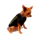 Guayabera Ejecutiva Para Perro - Accesorios