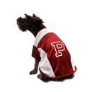 Jersey Universitario - Accesorios