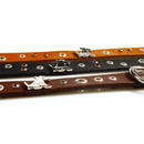 Tolome Collar Logo Silverbone para Perro - Accesorios