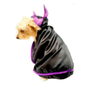 Disfraz de Malefican - Accesorios