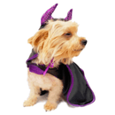 Disfraz de Malefican - Accesorios