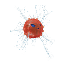 NERF Puffer Fish 2.75" - Juguetes Morder Perro