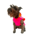 Impermeable Raincoat - Accesorios