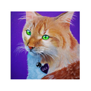 Retrato personalizado de tu mascota - Accesorios