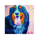 Retrato personalizado de tu mascota - Accesorios