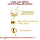 Royal Canin Golden Retriever Adulto 13.6 kg - Alimento Seco Golden Retriever