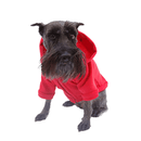 Sudadera Deportiva Roja - Accesorios